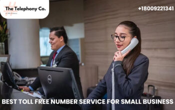 Best Toll-Free Number Service for Small Business