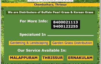 Best Garden Landscaping Works in Kakkanad Kalamassery Muvattupuzha Malikampeedika Kothamangalam