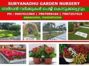 Excellent Garden Setting Work Rajakumari Rajakkad Santhanpara Elappara Marayoor Kuttikkanam