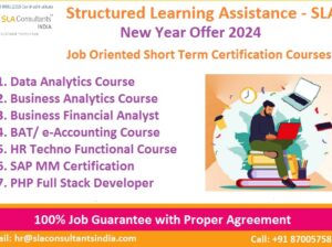 Get Job Ready: Power BI Data Analytics for All Levels by Structured Learning Assistance – SLA Busine