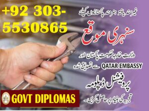 Professional Diploma In Information Technology ( IT ) (One Year) Professional Diploma In Information