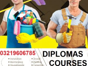 1, 2 & DAE 3 YEARS GOVERNMENT APPROVED DIPLOMAS AND ALSO Computer Course in Rawalpindi, revit cou